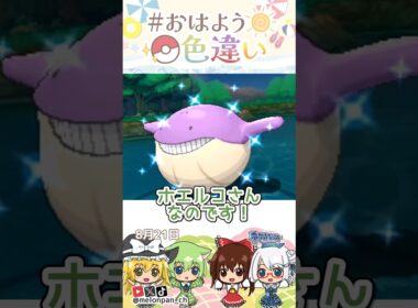 ☀️いっぱい食べる！！色違いホエルコ⛲️✨2026年8月21日 #おはよう色違い #おは色 #ポケモン