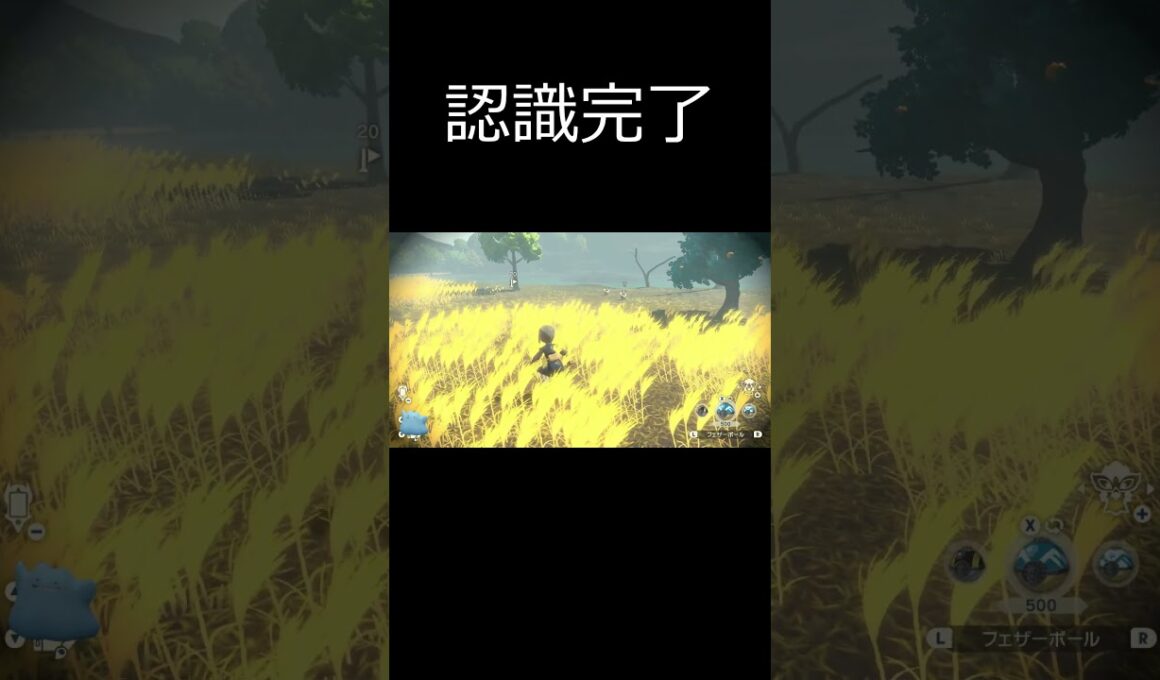 光ってんじゃないわよ！ #ポケモン #色違い #色違いポケモン #ゲーム実況 #アルセウス #shorts