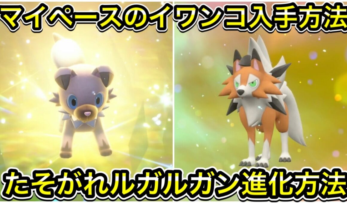 【ポケモンSV】マイペースのイワンコ出現場所！たそがれルガルガンへの進化方法を解説します！