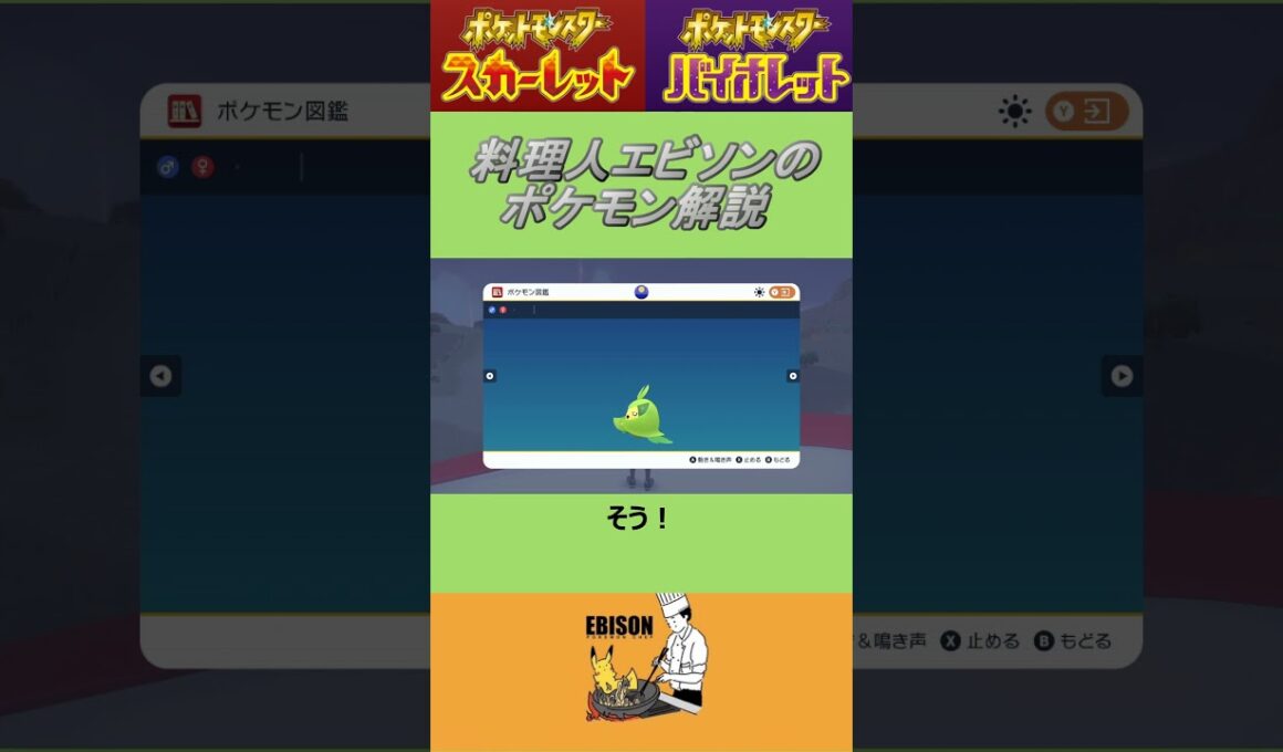 エビソンのポケモン解説　#ポケモン #ポケモンsv #スカーレットバイオレット #クルマユ
