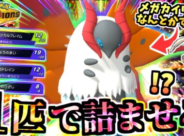 ある条件でメガカイリューも完封『マジカル☆ウルガモス』ライバルのドラゴンタイプに負けないよｯ!!炎の体も偉すぎだよｯ!!【ポケモンチャンピオンズ/虫統一パ/タイプ統一パ】