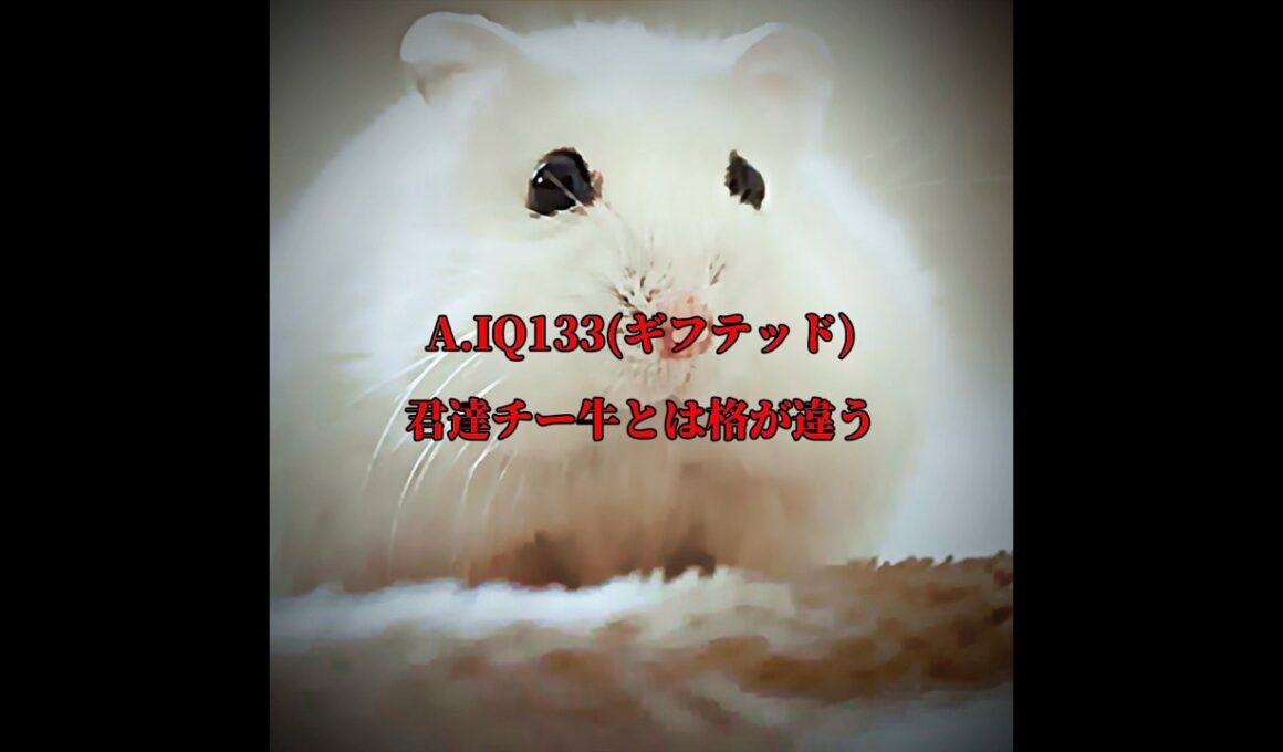 僕(天才)のIQは？ #天才 #ギフテッド #デデデの鬼太郎 #クラスティック