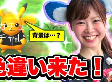2日目で色違い!!愛知限定ピカチュウを連戦した結果、背景は…？【ポケモンGO】