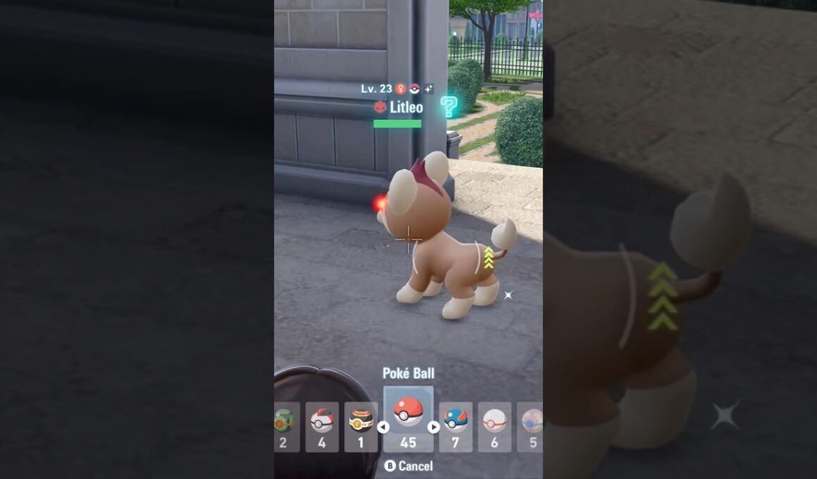 Shiny Alpha litleo Pokemon ZA
