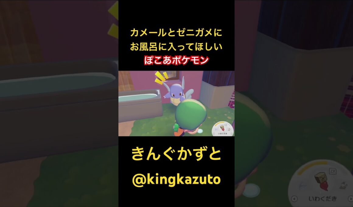ぽこあポケモン　9歳カメールとゼニガメにお風呂に入ってほしい　ポケモンカード　ポケモングッズ　ポケポケ　Pokemon きんぐかずと　@kingkazuto
