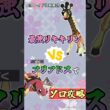 アリアドスで最強リキキリンをソロ攻略   　#ポケモンsv #テラレイド #shorts