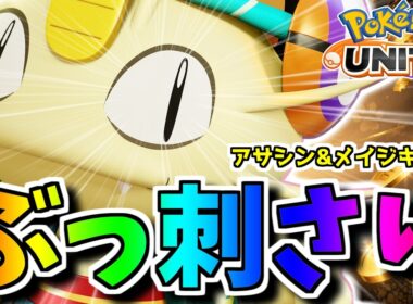 【実は隠れOP】アサシン＆メイジ構成を完全にカモる「ネコにこばん×だめおし」ニャースが面白過ぎるｗｗ【ポケモンユナイト】