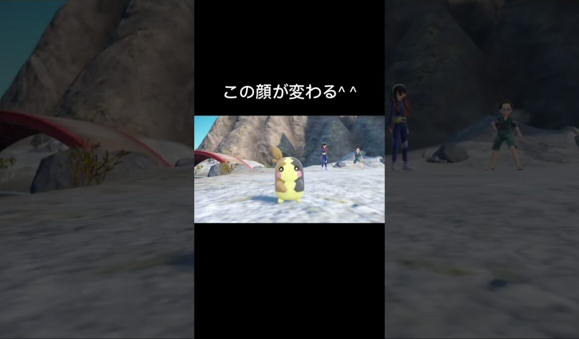 #モルペコ　の顔が変わる。　〔#イーユイ　〕#ポケモンsv #碧の仮面