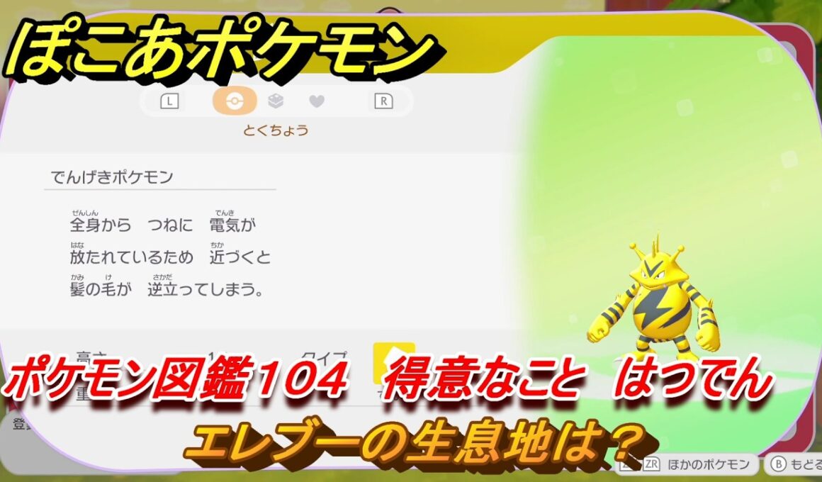 ぽこあポケモン　エレブーの生息地は？　ポケモン図鑑１０４　得意なこと　はつでん　＃８４９　【ぽこポケ】