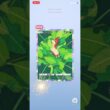「天空の支配者」 ポケポケ開封チャレンジ！ケムッソ ポケモン Pokémon