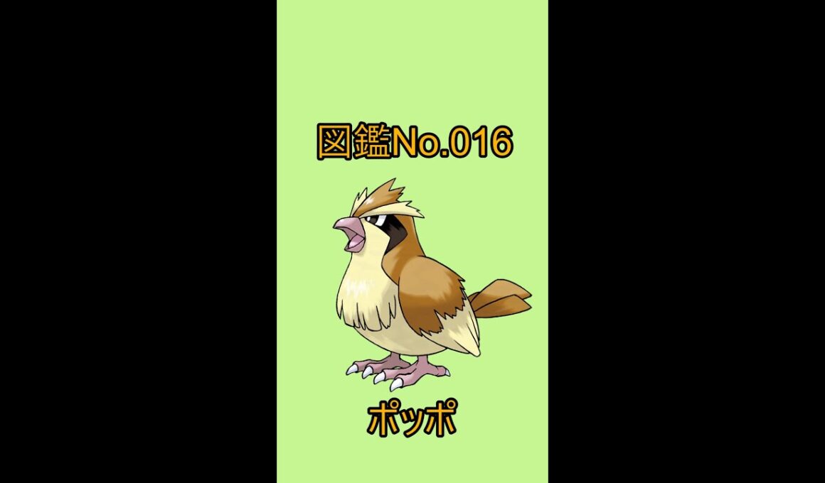 【ポケットモンスター】ポケモン図鑑じっくり解析シリーズ！ーNo.016ポッポー#Shorts