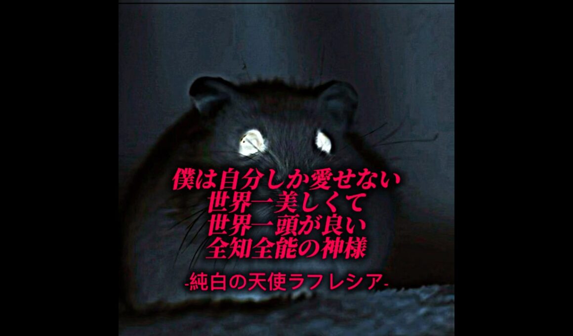彼女検定 #イケメン #天才 #デデデの鬼太郎 #クラスティック