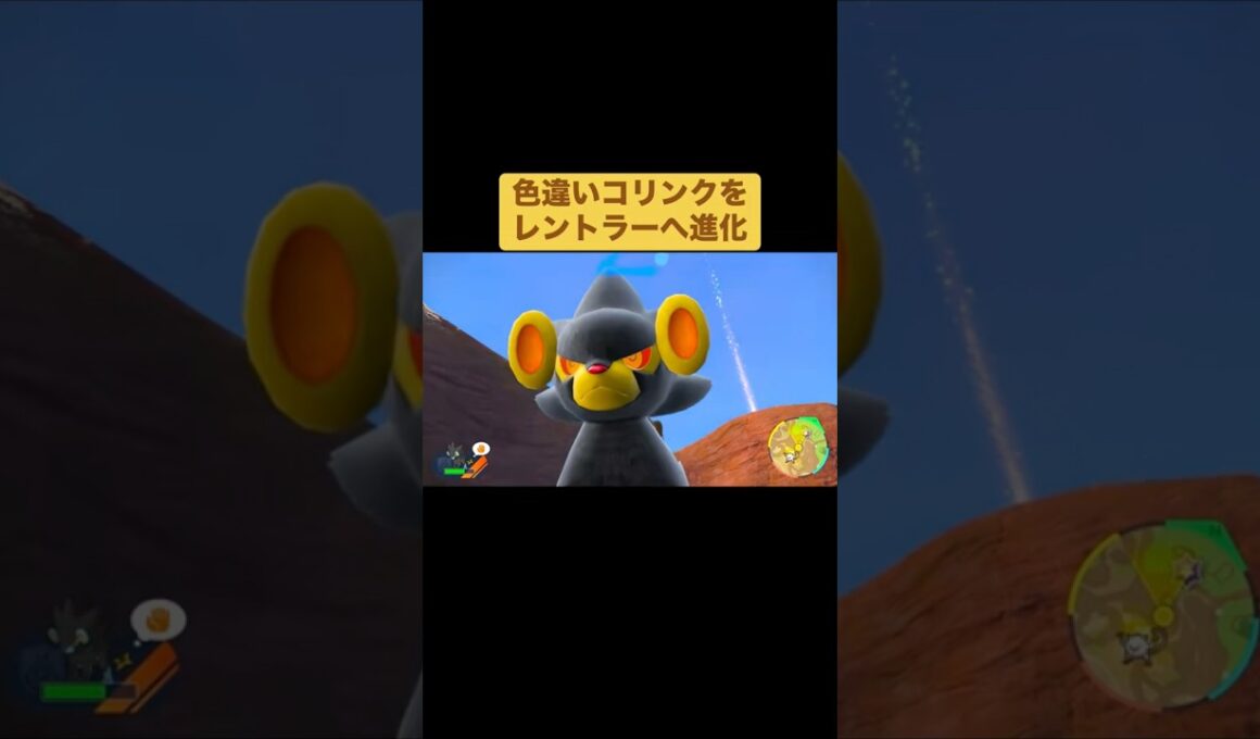 色違いコリンクをレントラーへ進化【ポケモンSV】