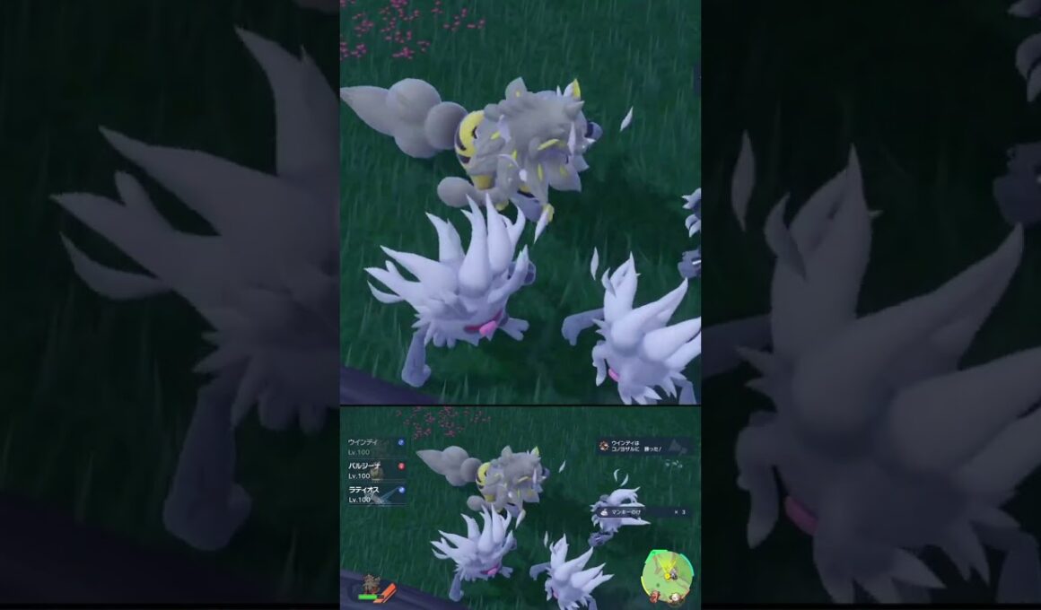 自分以外のもふもふは許せない ウインディ #shorts #ポケモンsv #碧の仮面 #碧の円盤