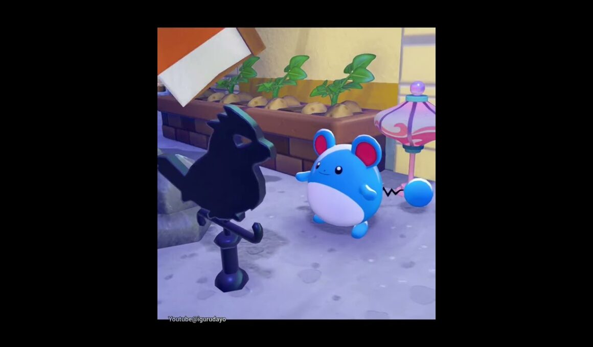 マリル🎵 Marill　#ぽこあポケモン #pokopia #pokemon