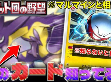 【ポケポケ】『マルマイン』と好相性‼️しかも"最強"すぎるワザも使えるのに誰も警戒しないポケモンがこちら【ロケット団の野望／Pokémon Trading Card Game Pocket／ポケモン】