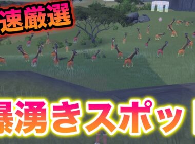 【神速】最速ピクニック1回で色違いが出現するリキキリンの爆湧きスポットが神すぎたww【ポケモンSV/藍の円盤/ゼロの秘宝】