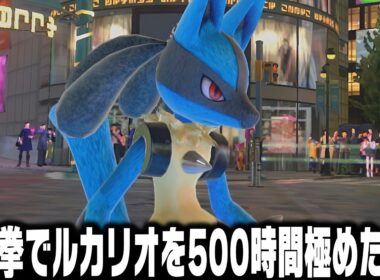 ポケモンの格ゲー『ポッ拳』で初心者がルカリオを500時間練習したら世界ランカー達と戦えるようになりました