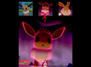 イーブイの声 登場と敗北　Eevee voice Arrival and Defeat #pokemonswordshield #ポケモン剣盾