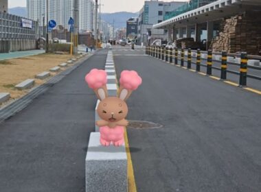 [GO Snapshot Slideshow] 이어롤 ( Buneary ) ミミロル ( 捲捲耳 )