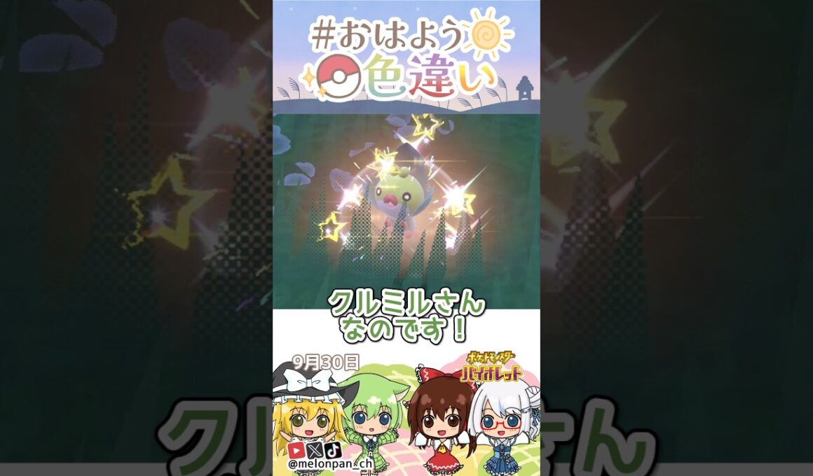 ☀️仕立て屋さん！！色違いクルミル👕✨2026年9月29日 #おはよう色違い #おは色 #ポケモン