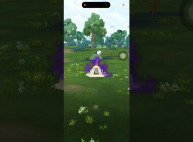 シャドウ スナバァ グレートスロー #shorts #ポケモンgo #pokemongo