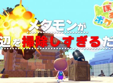 【非公式】メタモンが海辺を掃除しすぎるだけ【 ぽこあポケモン / ぽこポケ 】