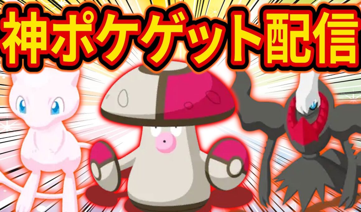 【ポケスリ】ニュームーンデーで「タマゲタケ/モロバレル」の最強個体&ミュウ/ダークライをゲットする伝説の睡眠リサーチ配信【ポケモンスリープ/Pokémon Sleep】