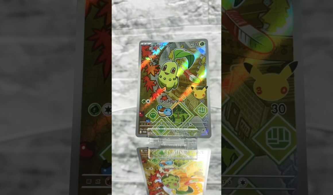 【ポケカ30周年】30th CELEBRATION カードセット「チコリータ」回転レビュー！🌿✨ #Shorts#pokemon #pokemoncards #ポケモン