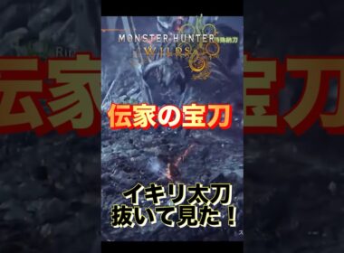 【モンハンワイルズ】伝家の宝刀イキリ太刀抜いて見た！/ヤメ〜こまる #モンハンワイルズ #モンハン #モンスターハンター #モンスターハンターワイルズ #ヤメーこまる #ヤメー