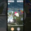 最後魅せる漢（@ レシラム）【マスターリーグ】【ポケモンGO】【GOバトルリーグ】