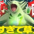 【伝説越えの種族値】弱点を克服しながら無限に回復しまくる化け物『バンギラス』こいつやばすぎるわ。【ポケチャン】