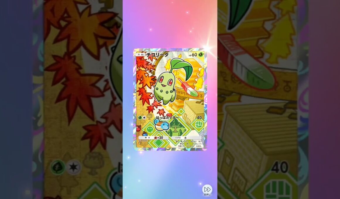 はじまりのパートナーはチコリータ♪ポケポケ開封　スペシャルパック