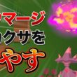 【ポケモンスリープ】ムウマージの魅力は鍋拡張でも料理大成功アップでもなく、アニメーションです（個人の意見）